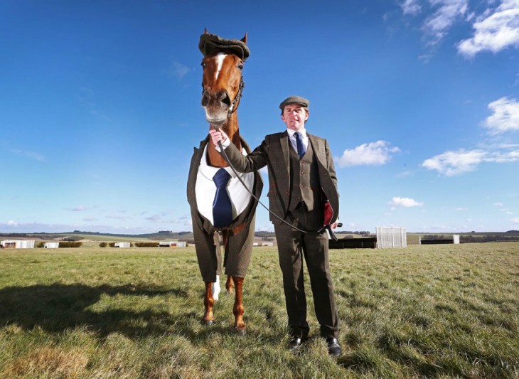 Jinete Sir Tony McCoy y el caballo Morestead