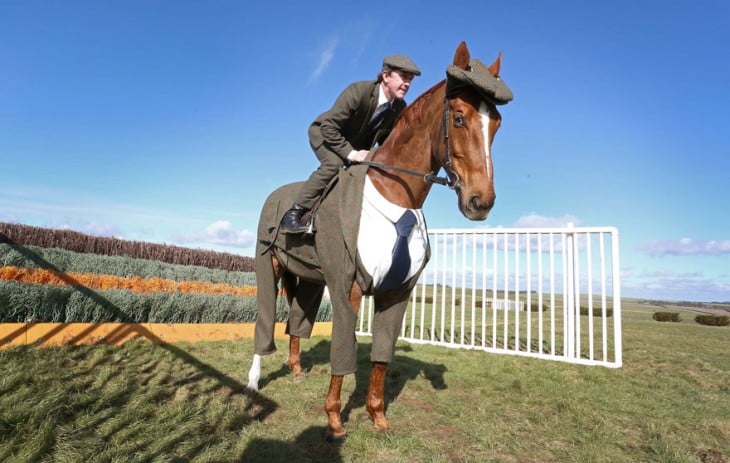 jinete y caballo, ambos con traje tweed