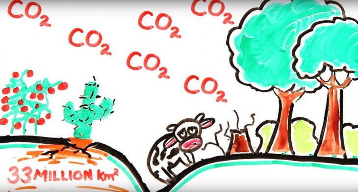 vacas responsables por emisiones de gases de efecto invernadero