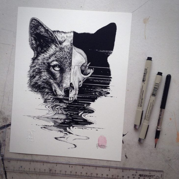 dibujo que muestra la mitad de la cabeza de un lobo con la mitad mostrando su esqueleto 