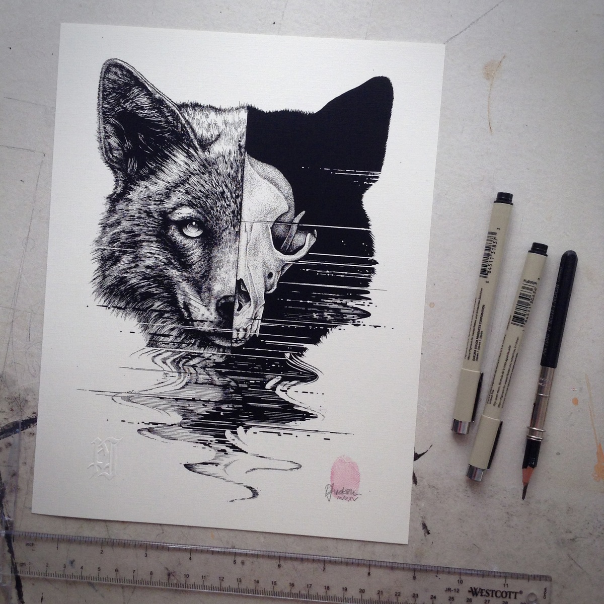 Dibujos de Paul Jackson con animales y sus esqueletos