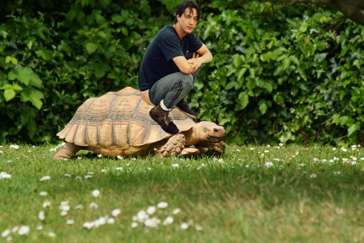 KEANU ENCIMA DE UNA TORTUGA