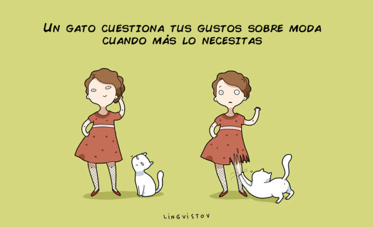 UN GATO CUESTIONA TUS GUSTOS SOBRELA MODA CUANDO MÁS LO NECESITAS