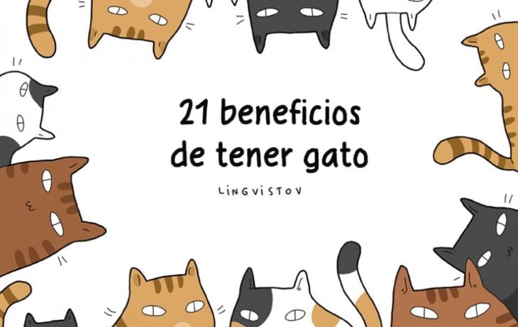 21 BENEFICIOS DE TENER UN GATO