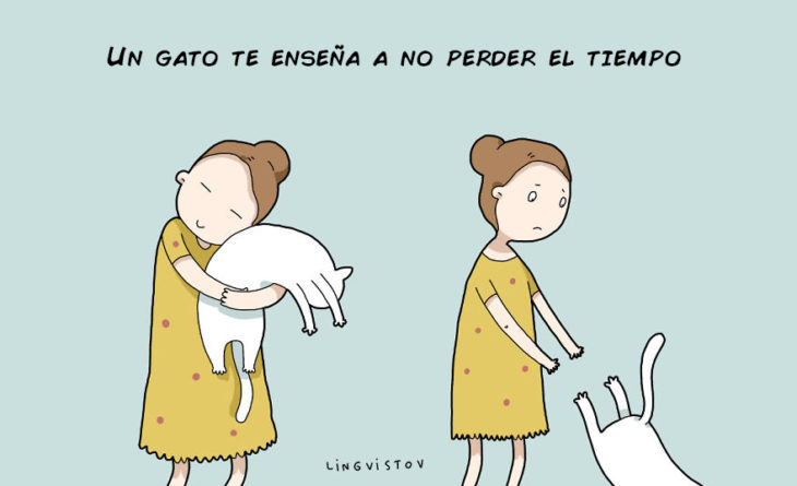 UN GATO NO TE ENSEÑA A PERDER EL TIEMPO