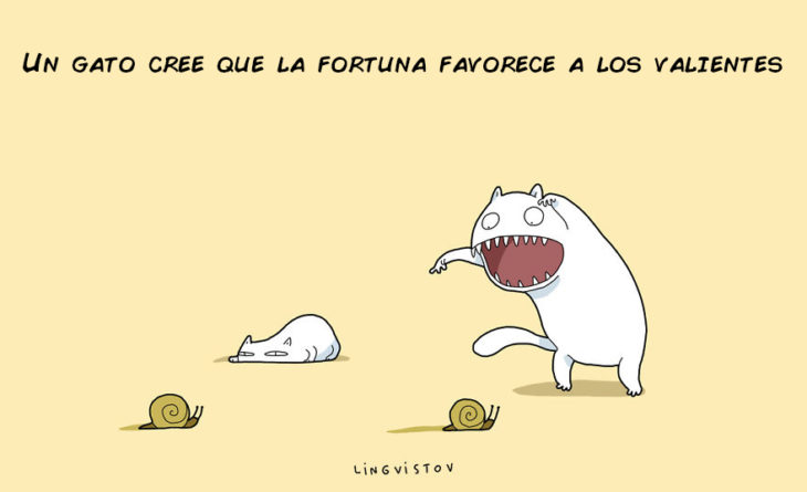 UN GATO CREE QUE LA FORTUNA FAVORECE A LOS VALIENTES