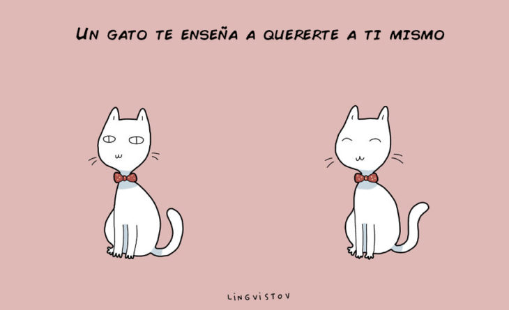 UN GATO TE ENSEÑA A QUERERTE A TI MISMO