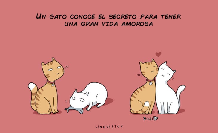 UN GATO CONOCE EL SECRETO DE TENER UNA GRAN VIDA AMOROSA