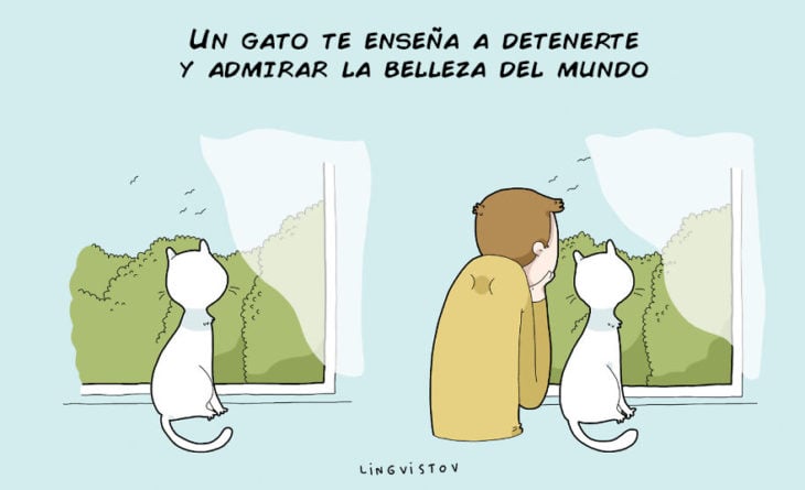 GATO DETENIENDO EL TIEMPO PARA TI