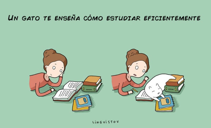 GATO QUE TE ENSEÑA A ESTUDIAR