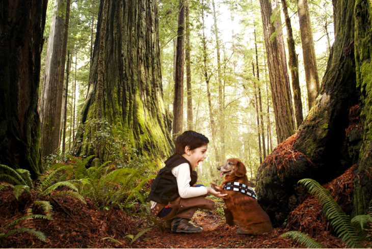 Batalla de Photoshop al niño y su perro vestidos de Han Solo y Chewbacca sobre un escenario de un bosque 