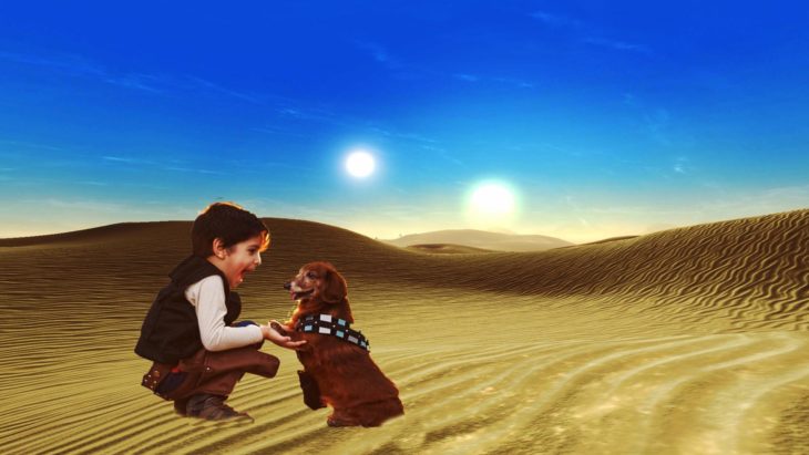 Batalla de Photoshop al niño y su perro vestidos de Han Solo y Chewbacca en el escenario de un desierto 