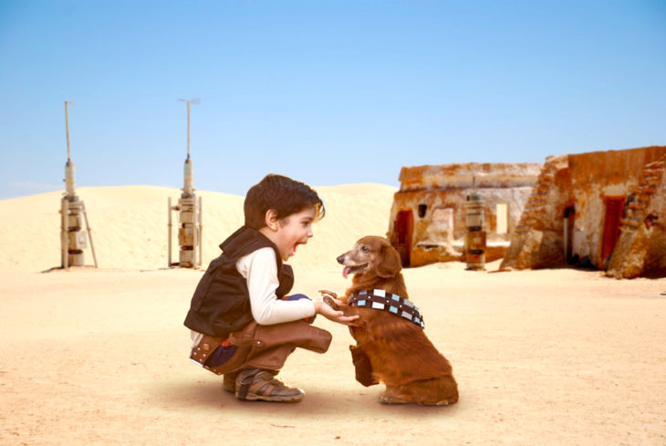 Batalla de Photoshop al niño y su perro vestidos de Han Solo y Chewbacca en una escena de star wars 