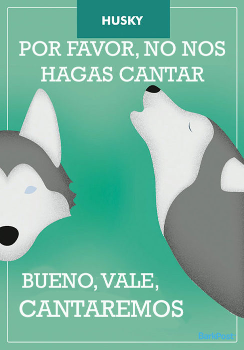 CÓMO ES EN REALIDAD UN HUSKY