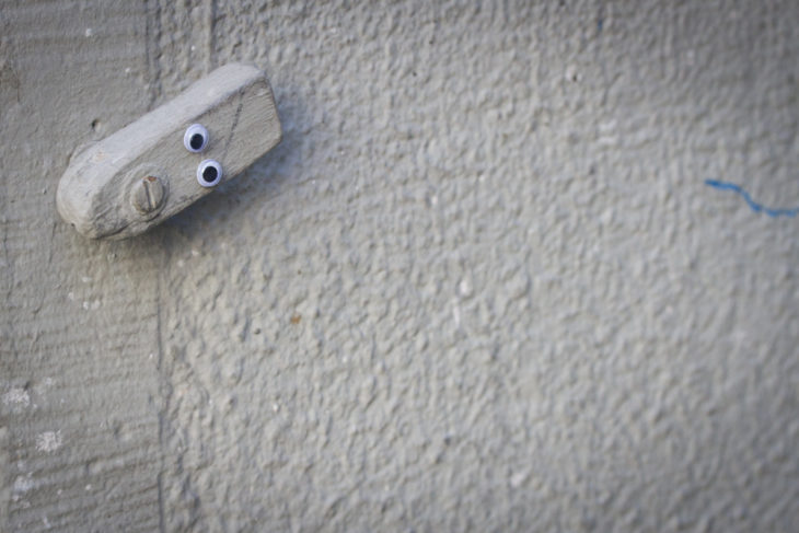 parte de madera en una pared con ojos de plástico 