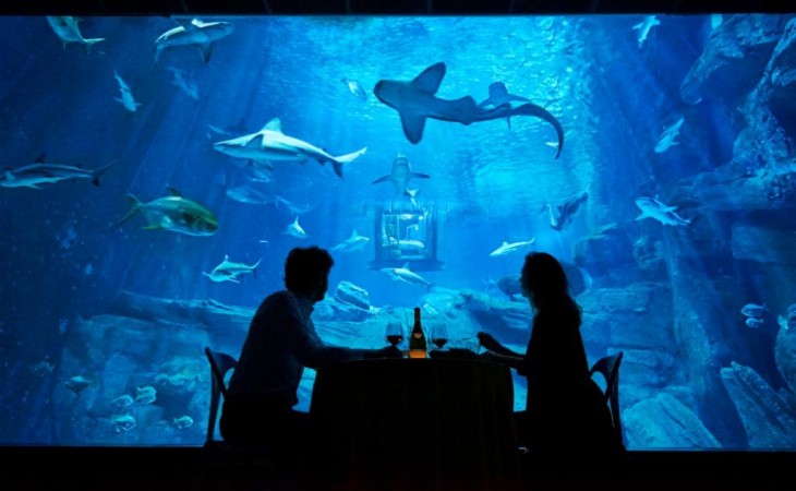 EN UNA CENA EN EL MUSEO MÁS ANTIGUO DEL MUNDO