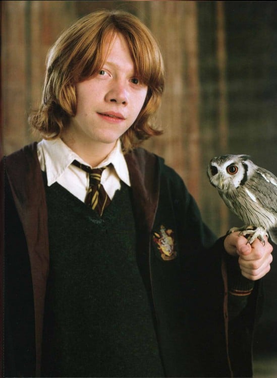 Ron y su lechuza 