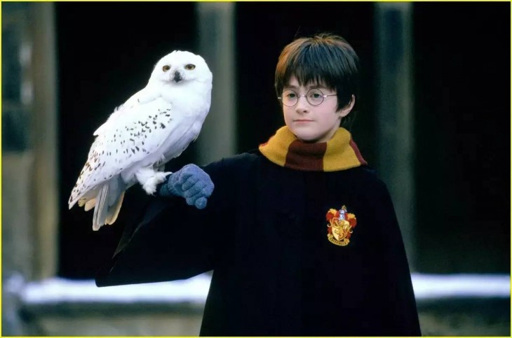 harry potter con su lechuza 