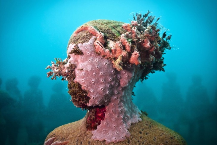 CORAL CRECIENDO EN EL ROSTRO DE LA ESTATUA