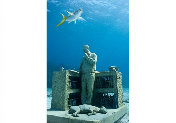 TIBURÓN PASEANDO POR LOS ARRECÍFES DE LAS BAHAMAS