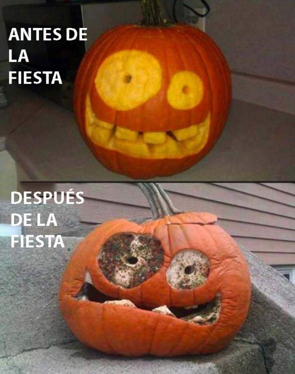 ANTES Y DESPUÉS DE LA COMPOSICIÓN DE UNA CALABAZA