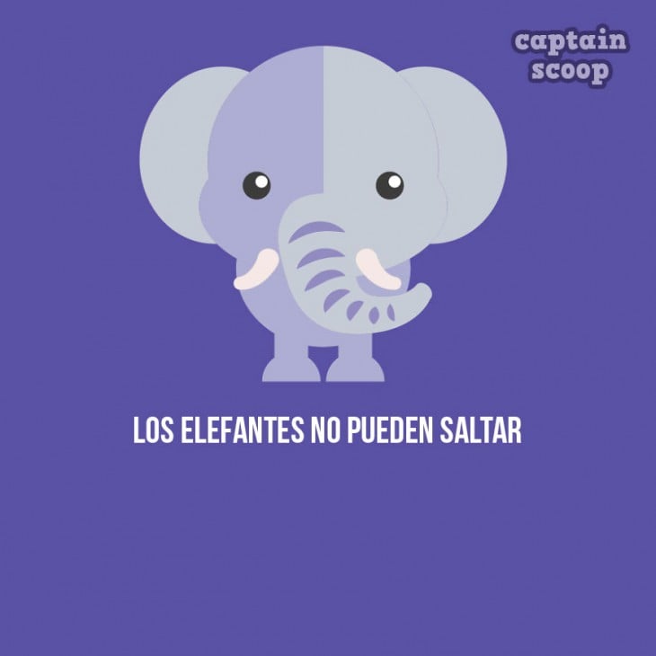 Ilustración de un elefante 