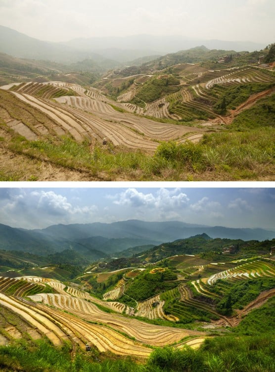 imagen comparativa del antes y después del photoshop en una imagen de campos verdes 