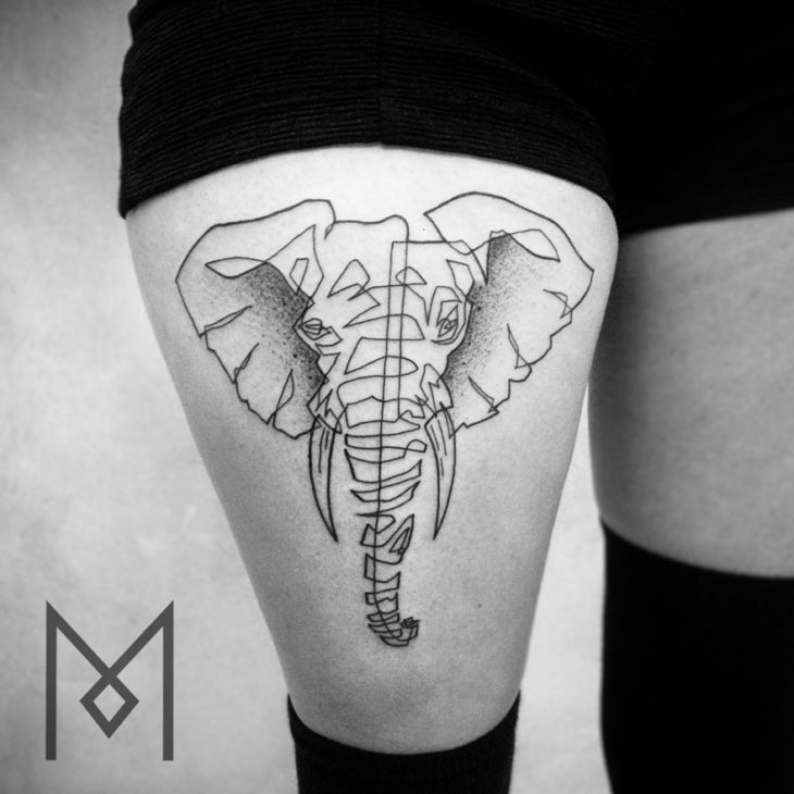 ELEFANTE EN LINEA