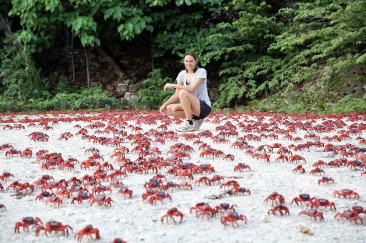 mujer en una isla rodeada de cangrejos