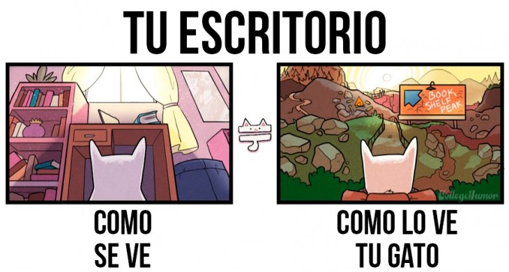 tu escritorio, como se ve y como lo ve tu gato