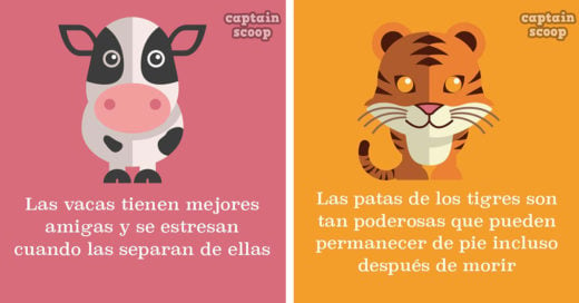 datos CURIOSOS sobre animales que NO te enseñaron en la escuela