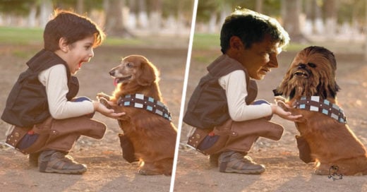 imagen de este niño y su perro disfrazados de Han Solo y Chewbacca batalla de photoshop