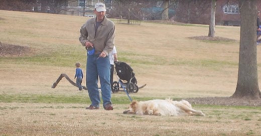 Este perro se izo el muertito para que su dueño no se lo llevara del parque