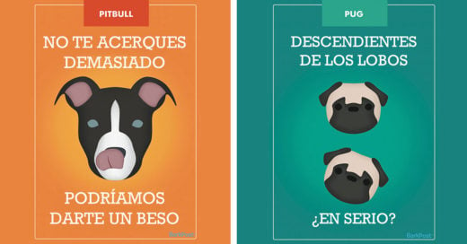 eslóganes más honestos que verás sobre las razas de los perros