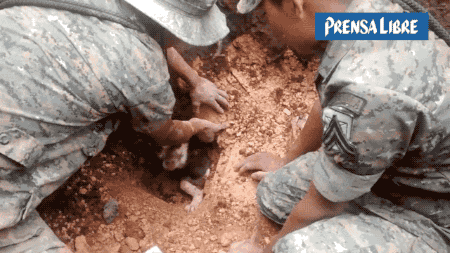 soldados rescatan a perro enterrado en los escombros