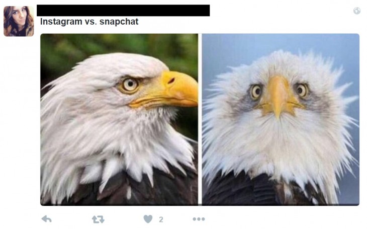 aguila en instagram y snapchat