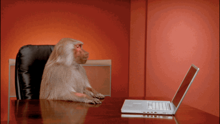 mono aventando una laptop