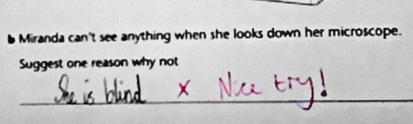 divertida respuesta a una pregunta en el examen 