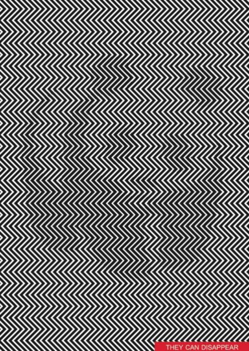 Ilusión óptica de un panda 