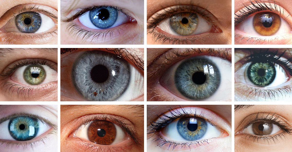 Científicos revelan como eres según el color de tus ojos Científicos revelan como eres según el color de tus ojos