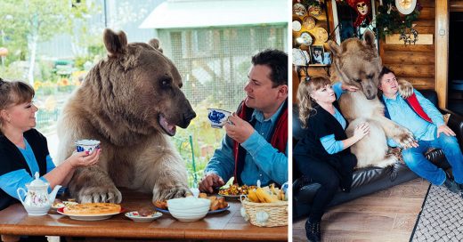 Pareja Rusa adopta un oso que tiene con ellos 23 años