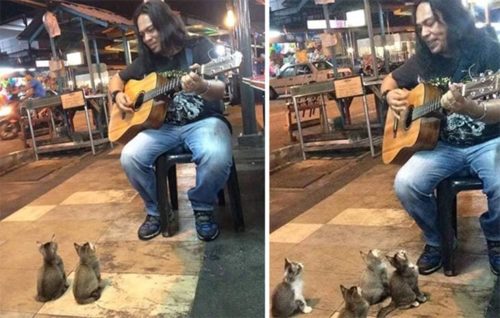 Este músico callejero cautivó a cuatro adorables gatitos