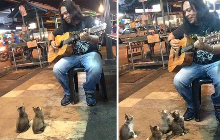 Este músico callejero cautivó a cuatro adorables gatitos