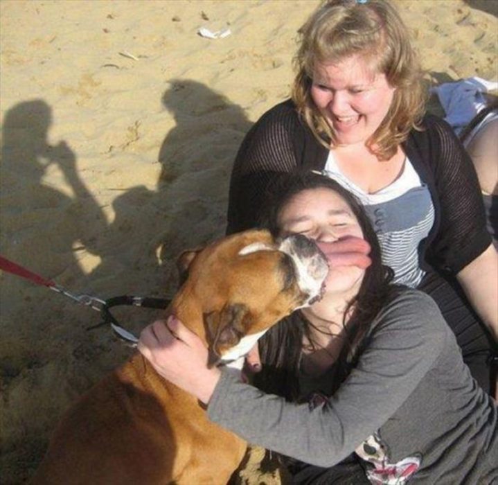 lengua de un perro sobre la boca de una chica 