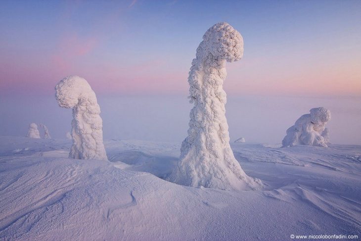 Centinelas del Ártico en Finlandia