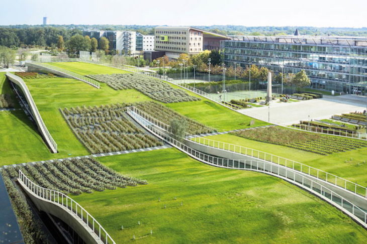 TECHOS VERDES EN FRANCIA EN UN CAMPUS DE LA CASA