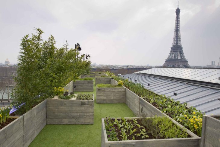 Torre eiffel al fondo en paneles solares