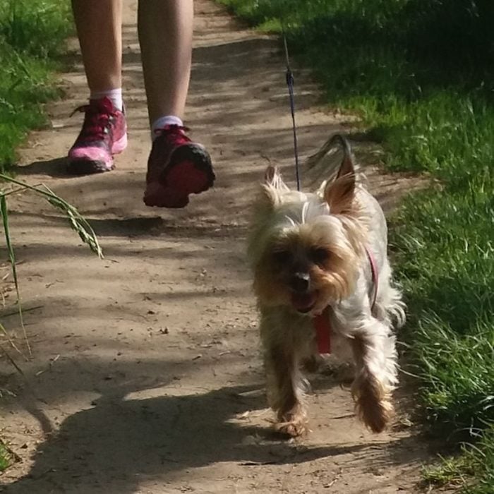 perrito corriendo con su dueña de tennis rosas