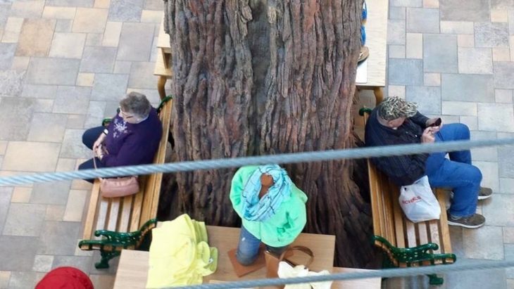 Abuelos separados por un árbol mientras se esperan uno al otro