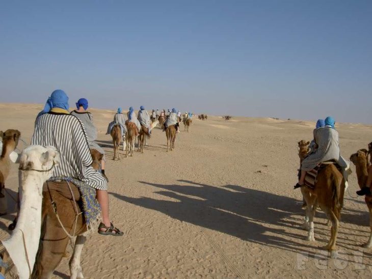 Personas sobre camellos en medio del desierto de Sahara